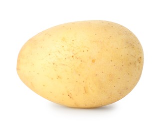 Photo of One young fresh potato isolated on white