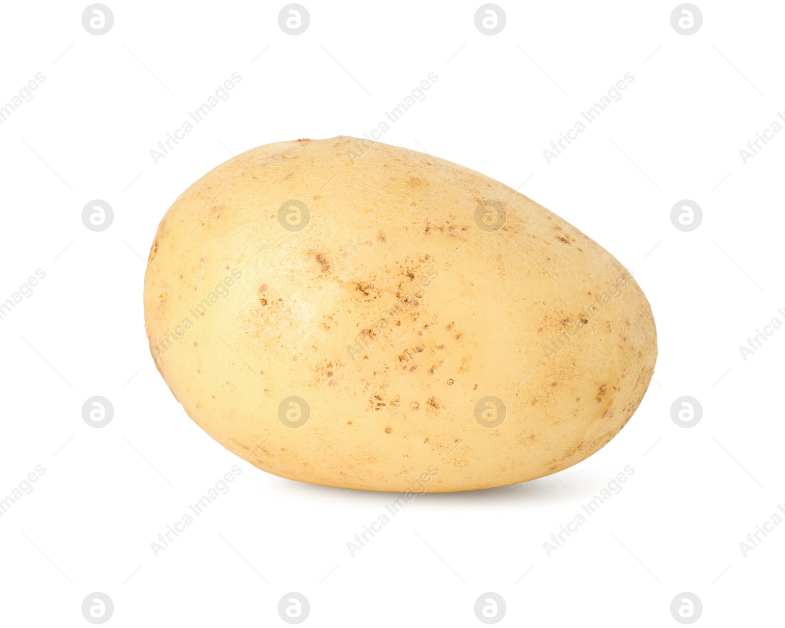 Photo of One young fresh potato isolated on white