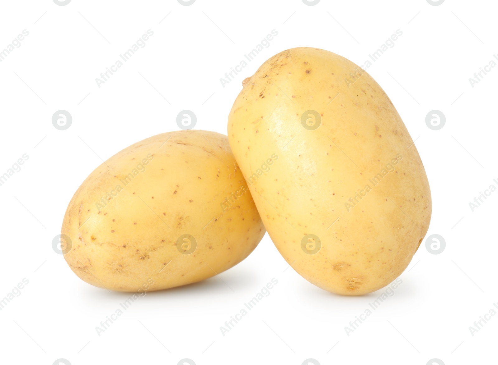 Photo of Two young fresh potatoes isolated on white