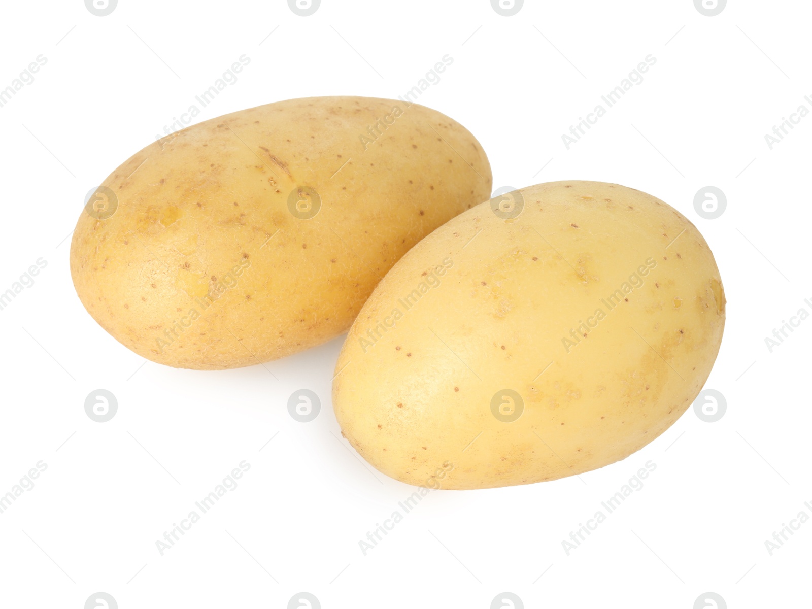 Photo of Two young fresh potatoes isolated on white