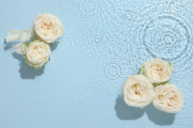 Photo of Beautiful rose flowers in water on light blue background, top view. Space for text