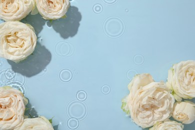 Photo of Beautiful rose flowers in water on light blue background, top view. Space for text