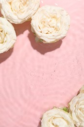 Beautiful rose flowers in water on pink background, top view. Space for text