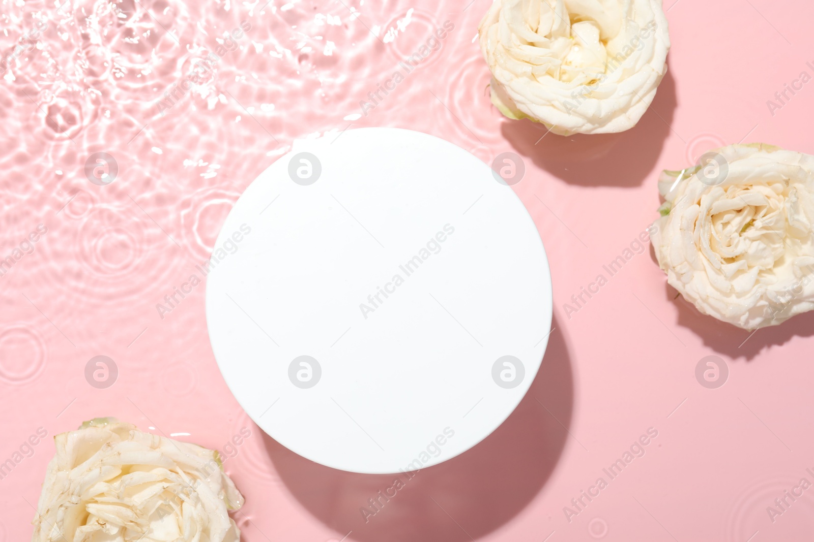 Photo of Beautiful rose flowers and round shaped podium in water on pink background, flat lay