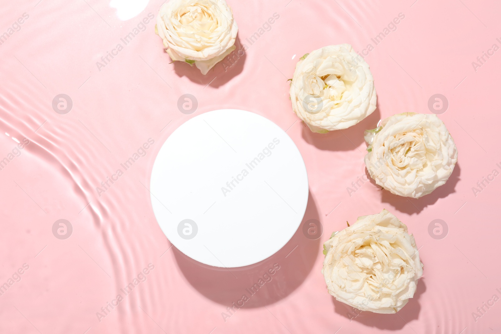 Photo of Beautiful rose flowers and round shaped podium in water on pink background, flat lay