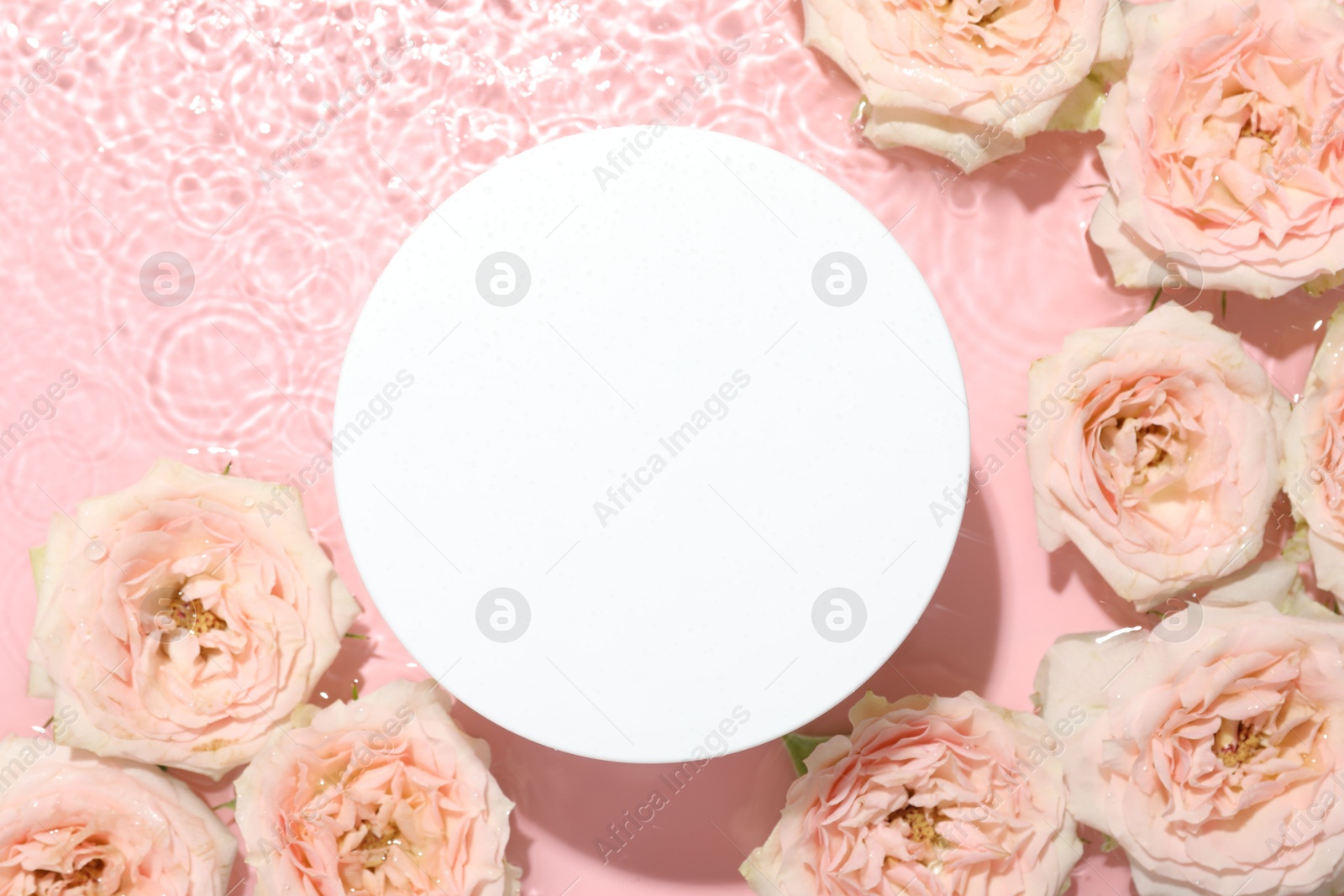 Photo of Beautiful rose flowers and round shaped podium in water on pink background, flat lay