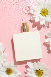 Photo of Beautiful daisy flowers and perfume bottle in water on pink background, flat lay