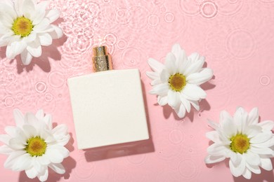 Photo of Beautiful daisy flowers and perfume bottle in water on pink background, flat lay