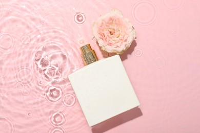 Photo of Beautiful rose flower and perfume bottle in water on pink background, flat lay