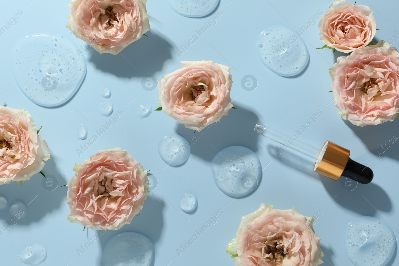 Photo of Beautiful rose flowers, pipette and drops of cosmetic serum on light blue background, flat lay