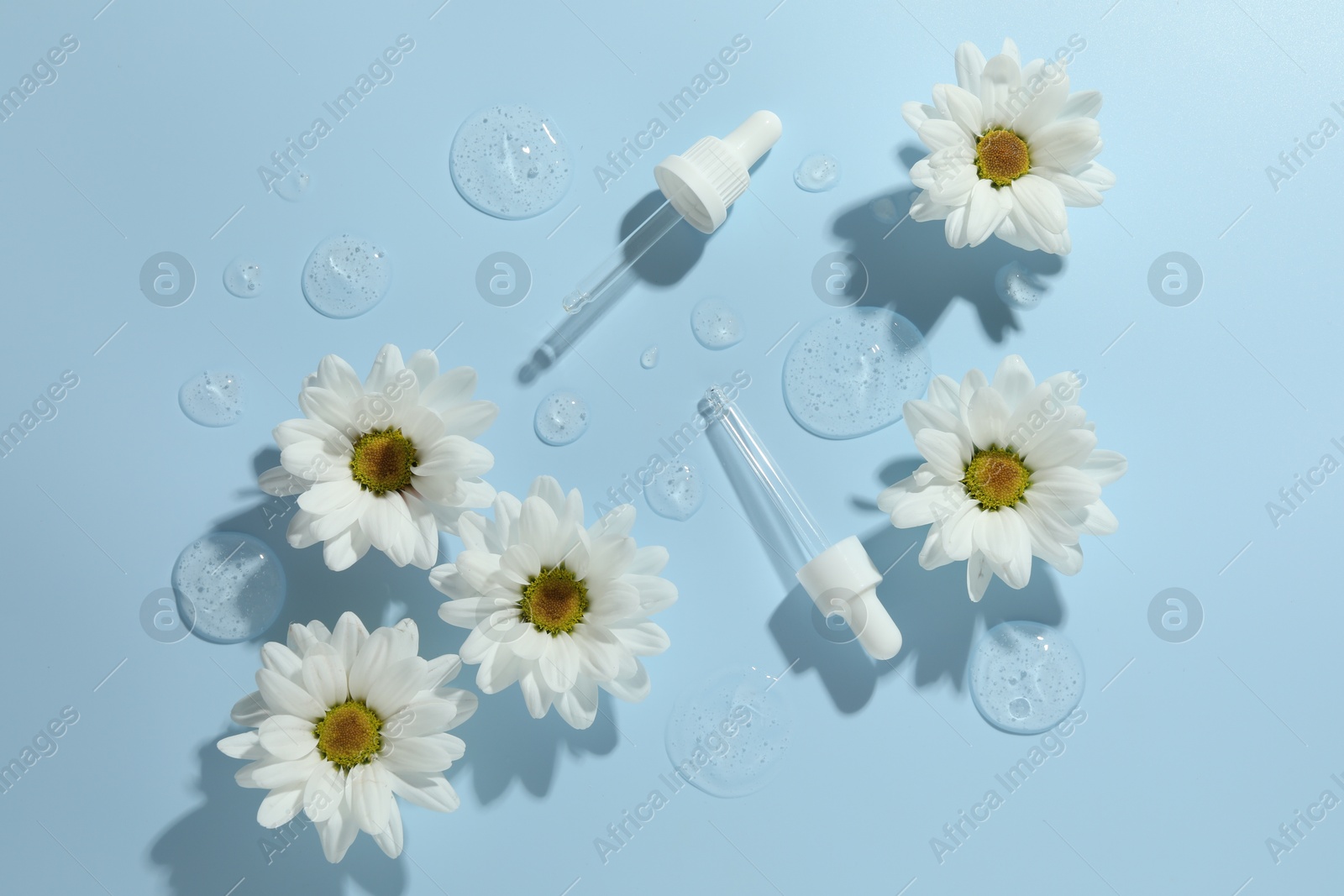 Photo of Beautiful daisy flowers, pipettes and drops of cosmetic serum on light blue background, flat lay