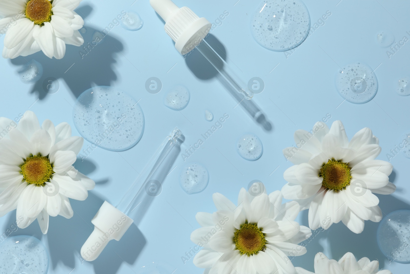 Photo of Beautiful daisy flowers, pipettes and drops of cosmetic serum on light blue background, flat lay