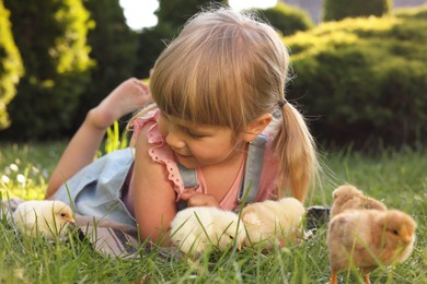 Photo of Little girl with cute chicks on green grass outdoors