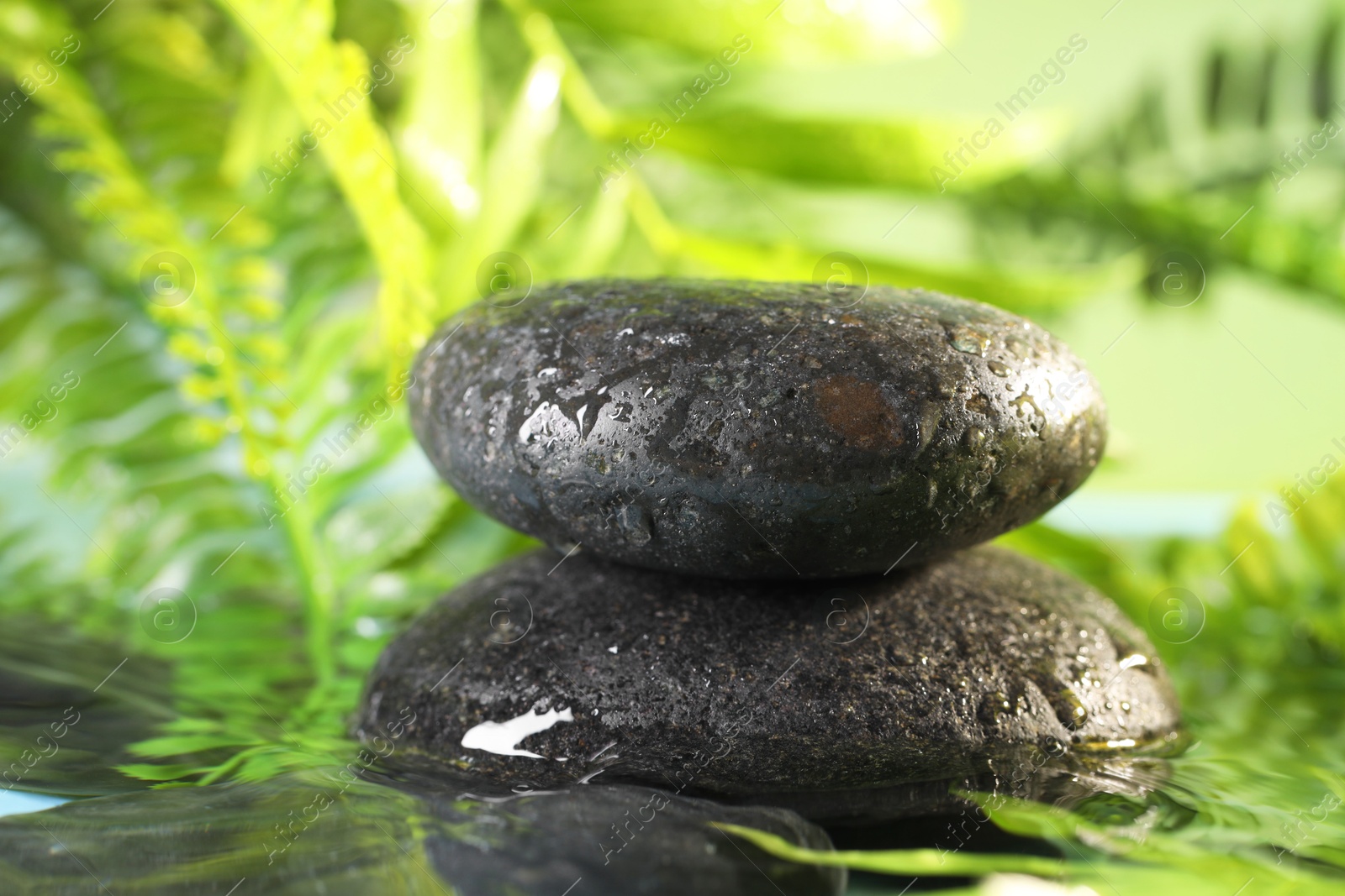 Photo of Wet spa stones on blurred background, closeup