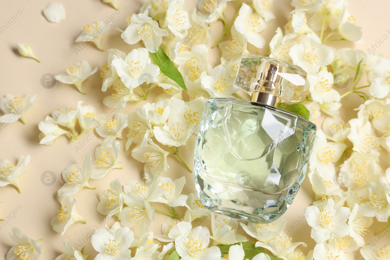 Photo of Bottle of aromatic perfume among jasmine flowers on beige background, flat lay