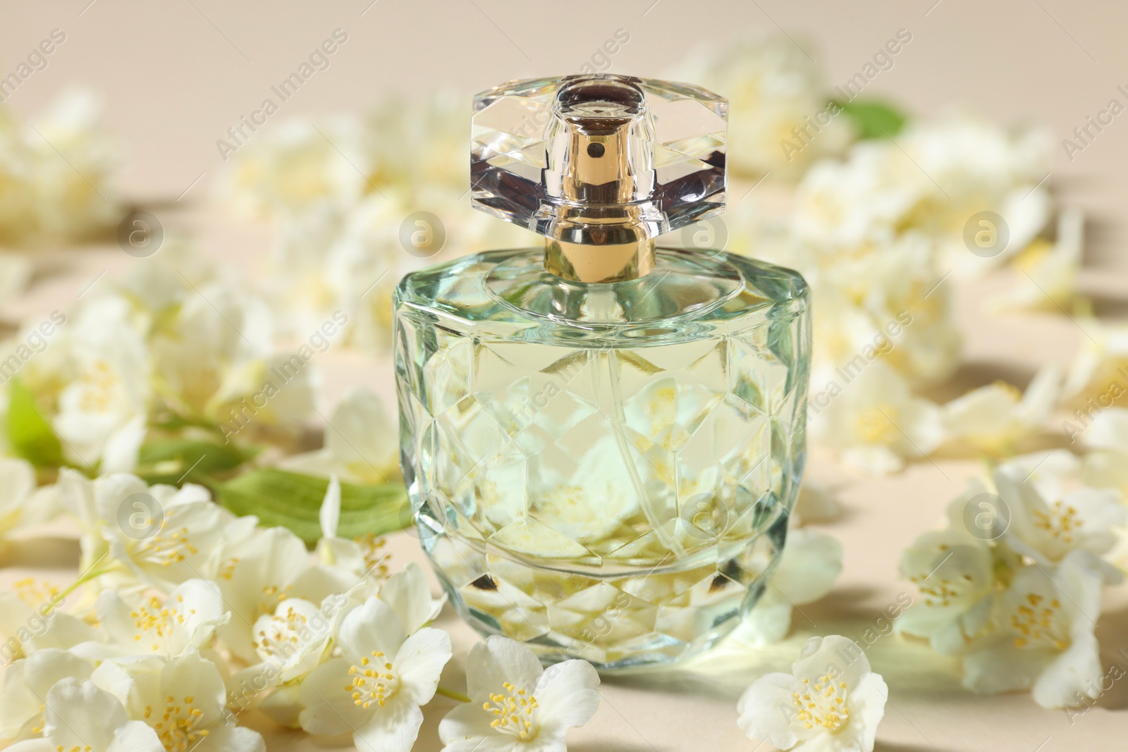 Photo of Bottle of aromatic perfume and jasmine flowers on beige background, closeup