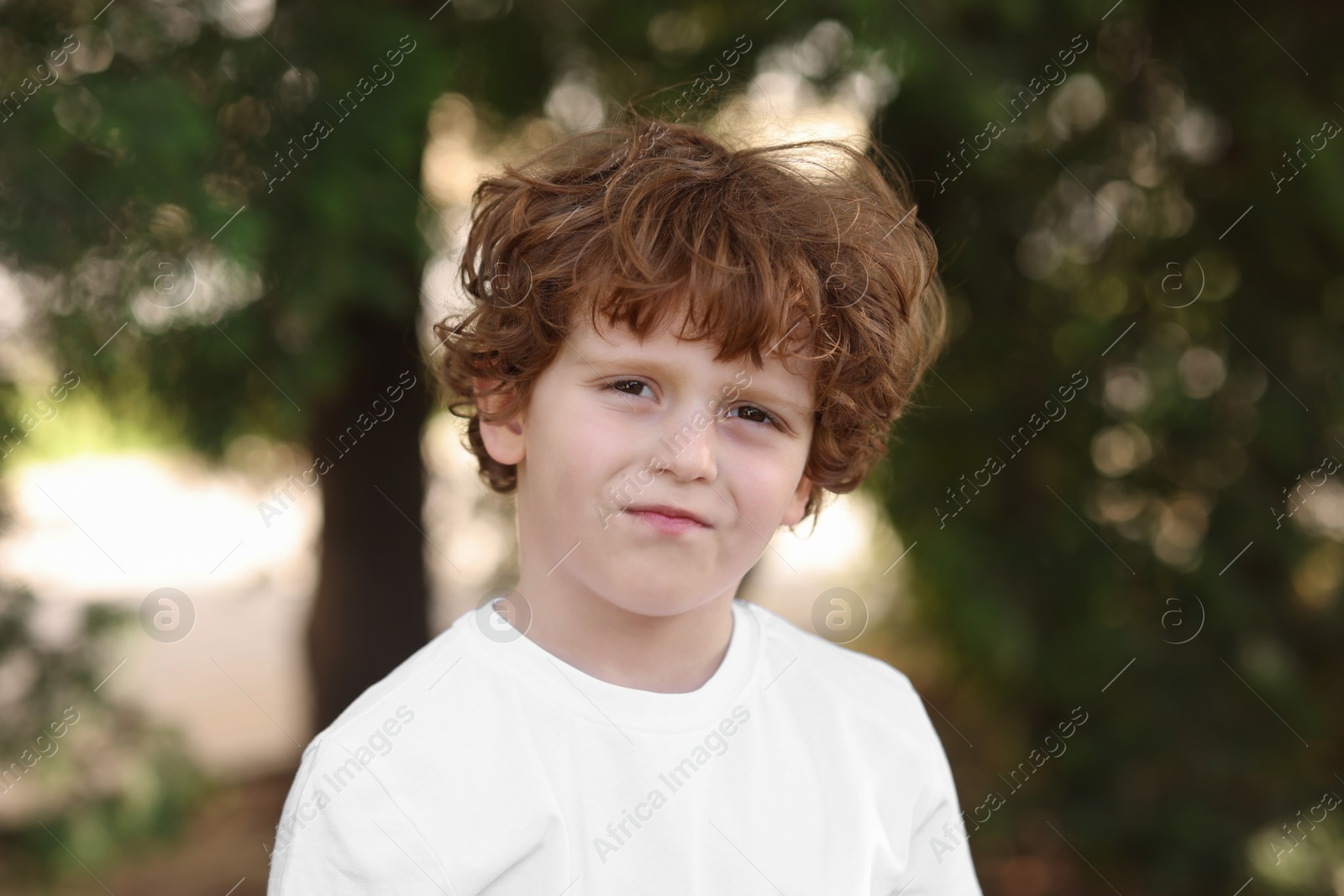 Photo of Portrait of little boy outdoors. Cute child