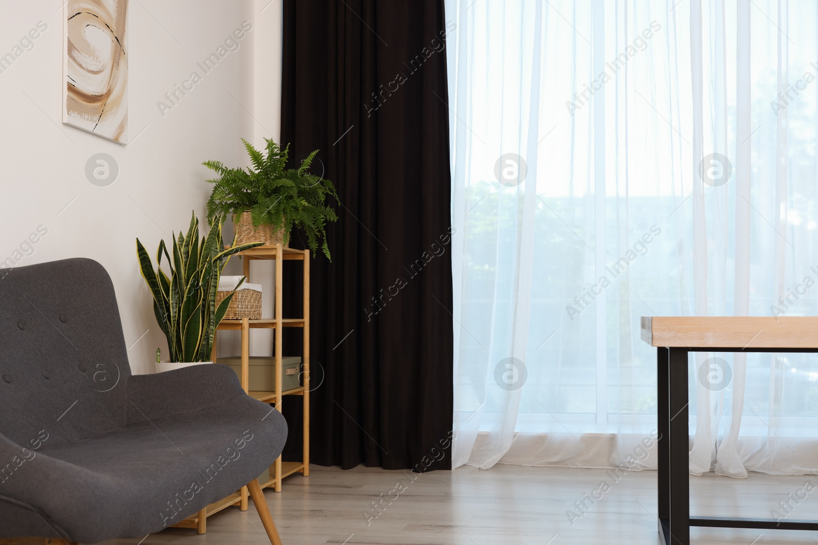 Photo of Shelving unit, green houseplants, sofa and elegant curtains in room. Interior design