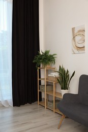 Photo of Shelving unit, sofa, green houseplants and elegant curtain in room. Interior design