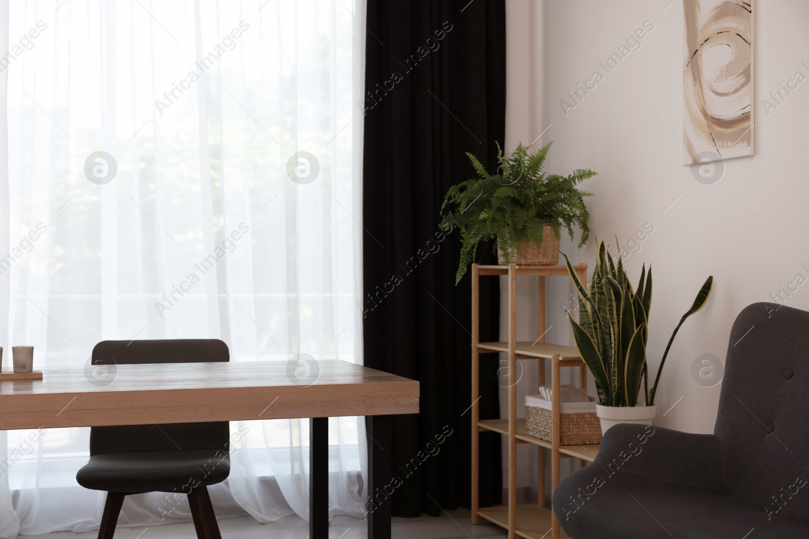 Photo of Stylish furniture, green houseplants and elegant curtain in room. Interior design