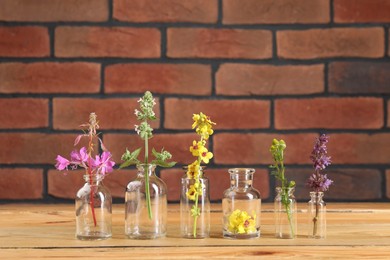 Photo of Different healing herbs in bottles on wooden table