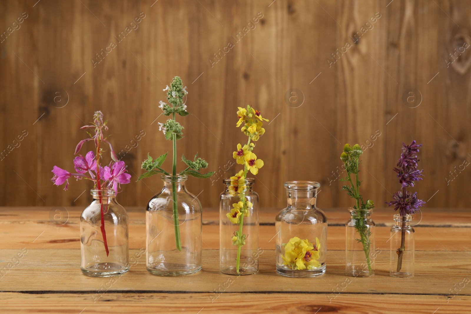 Photo of Different healing herbs in bottles on wooden table