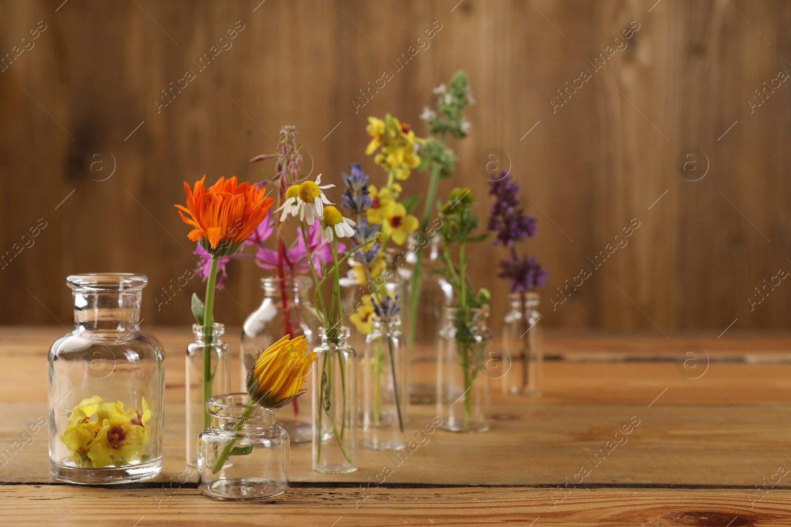 Photo of Different healing herbs in bottles on wooden table