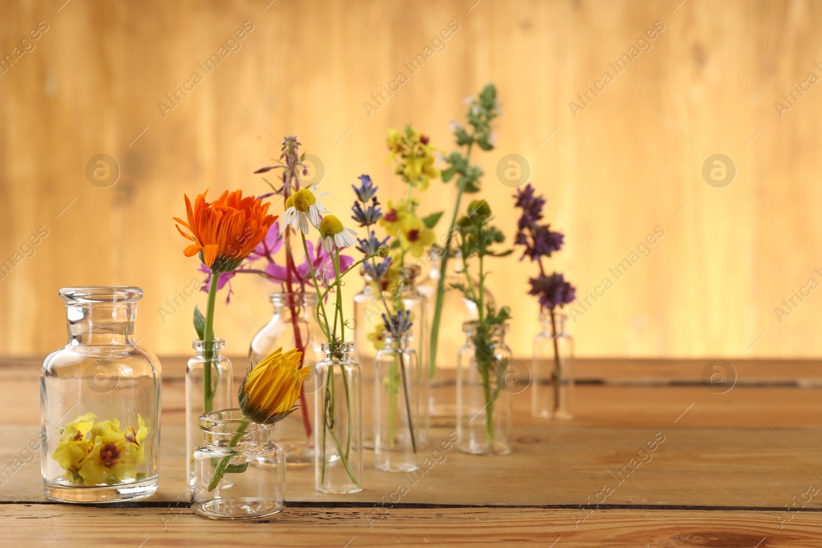 Photo of Different healing herbs in bottles on wooden table