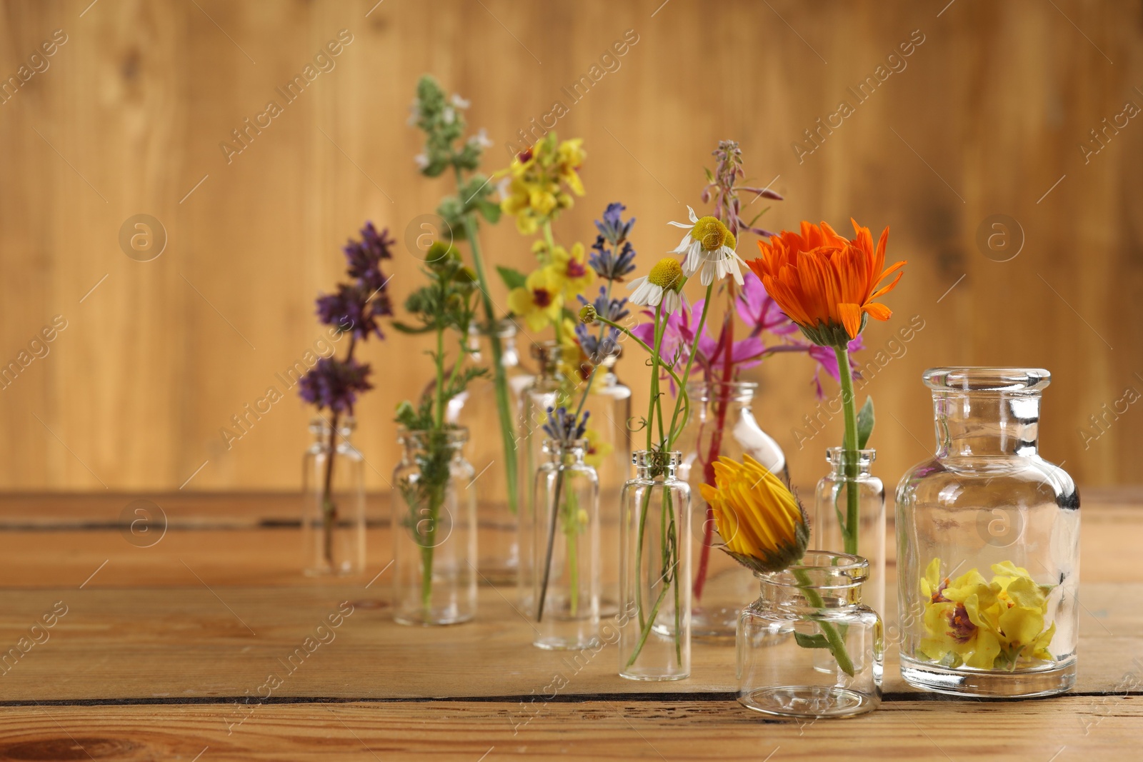 Photo of Different healing herbs in bottles on wooden table