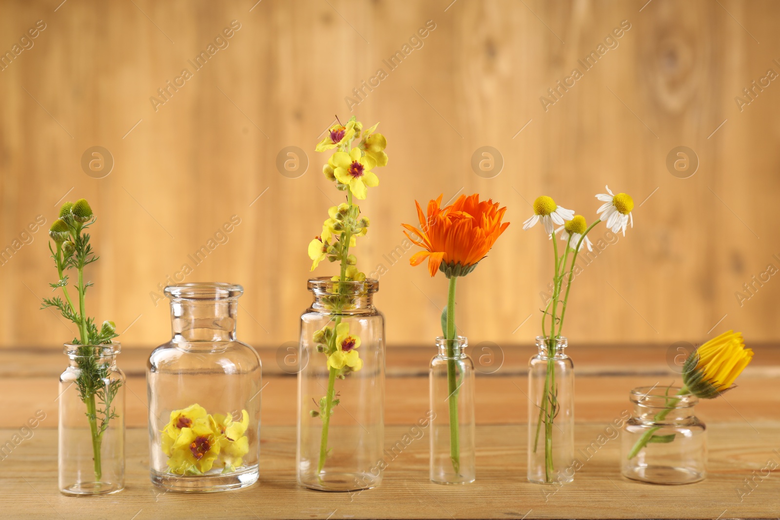 Photo of Different healing herbs in bottles on wooden table