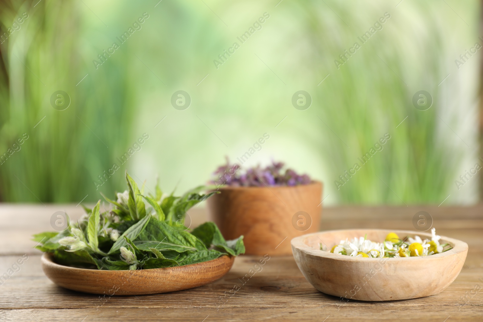 Photo of Different healing herbs in bowls on wooden table, closeup