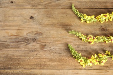 Photo of Beautiful mullein plants on wooden table, above view with space for text. Healing herb