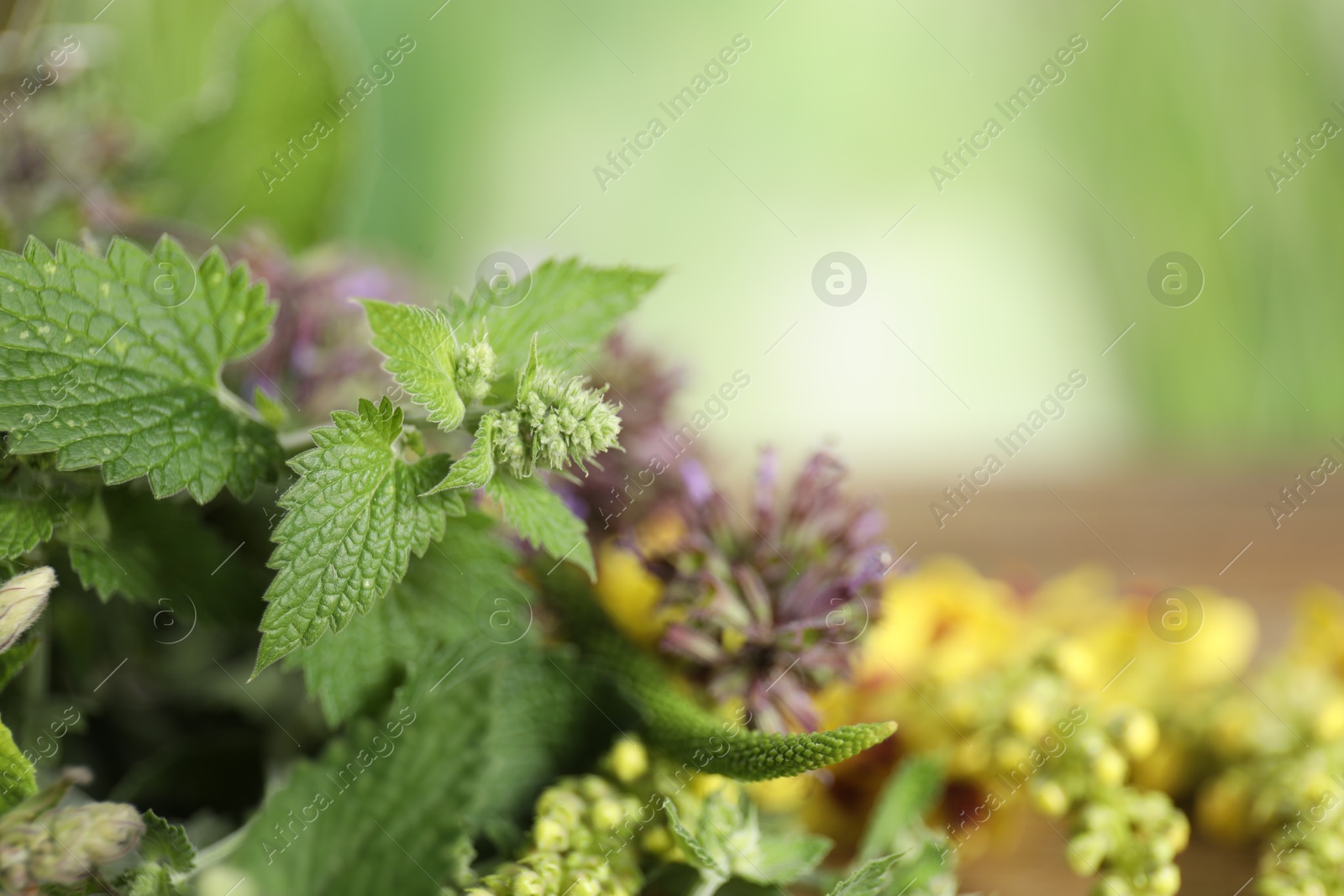 Photo of Different healing herbs on wooden table, closeup