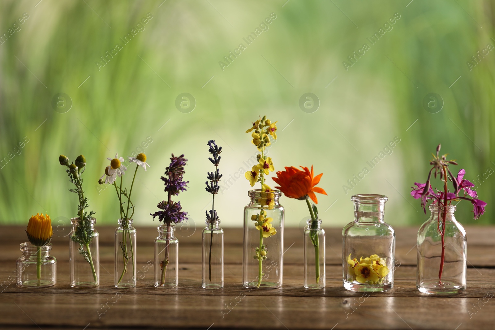 Photo of Different healing herbs in bottles on wooden table