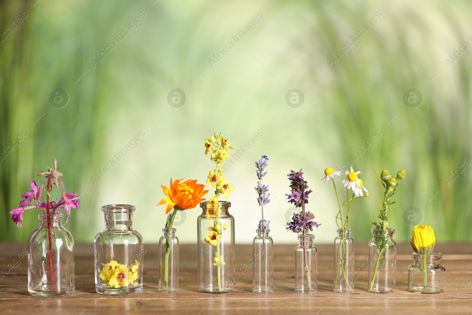 Photo of Different healing herbs in bottles on wooden table