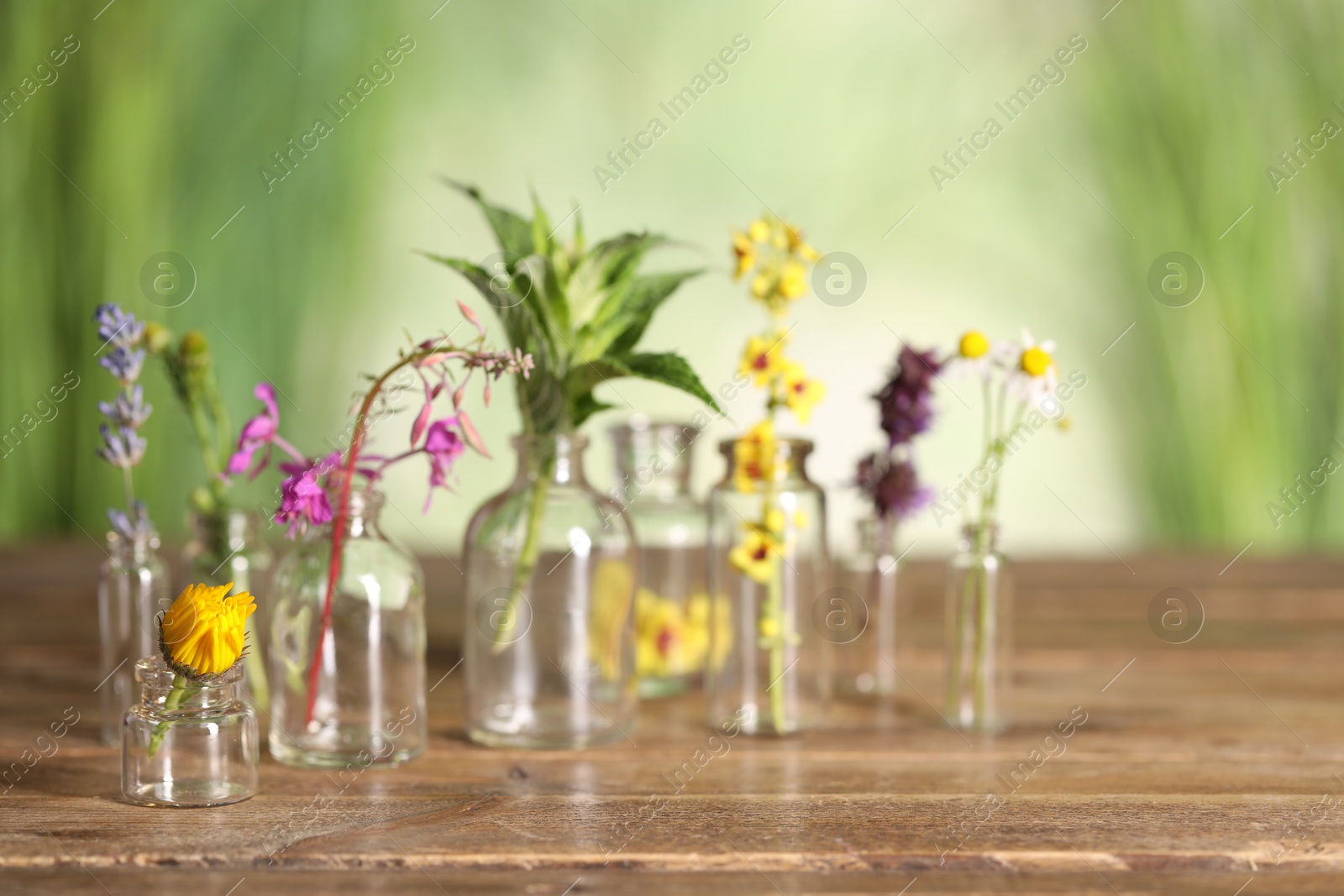 Photo of Different healing herbs in bottles on wooden table