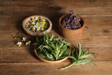 Photo of Different healing herbs in bowls on wooden table