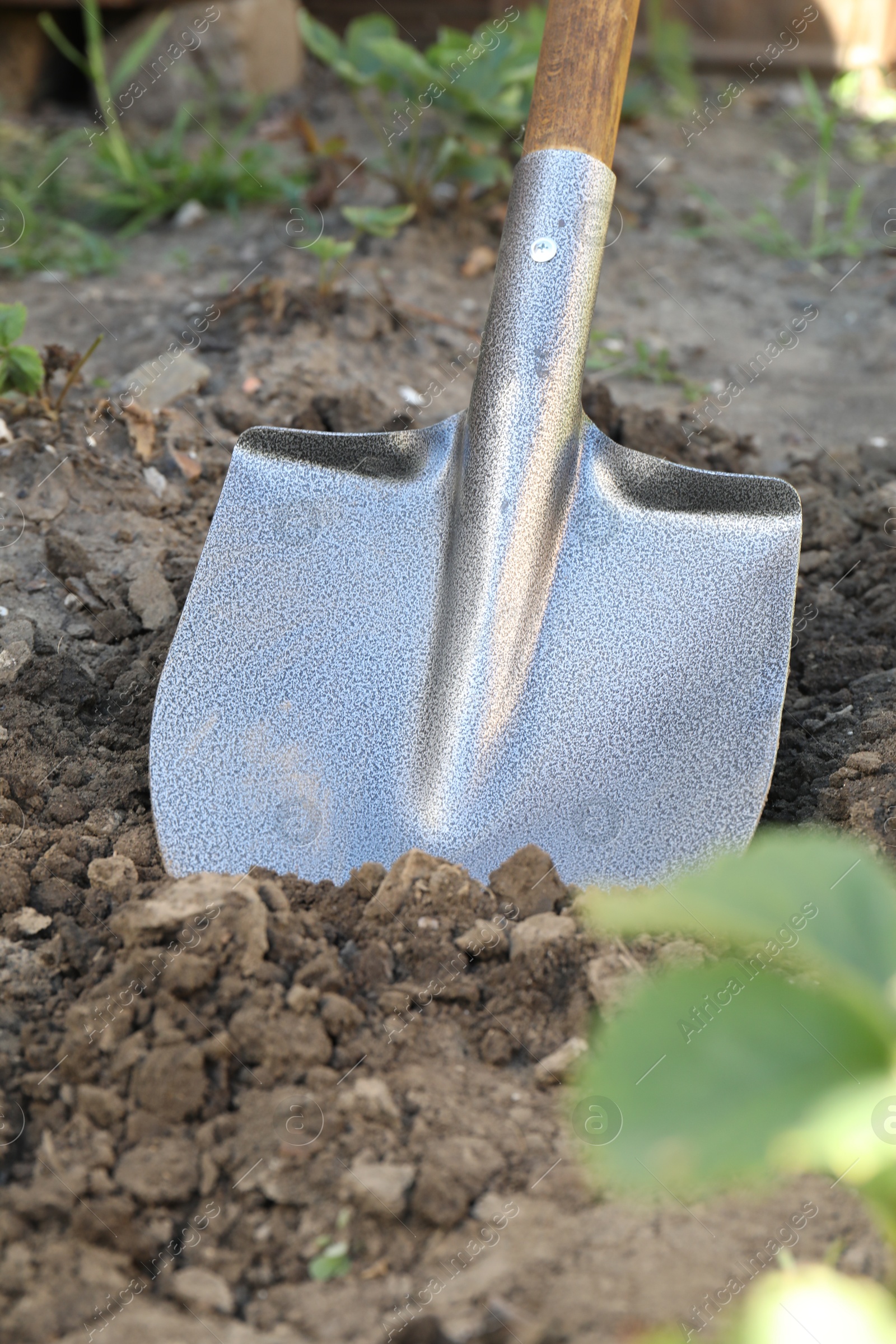 Photo of Digging soil with shovel in garden, closeup