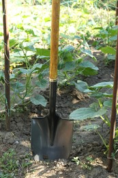 Photo of Metal shovel stuck in soil. Gardening tool