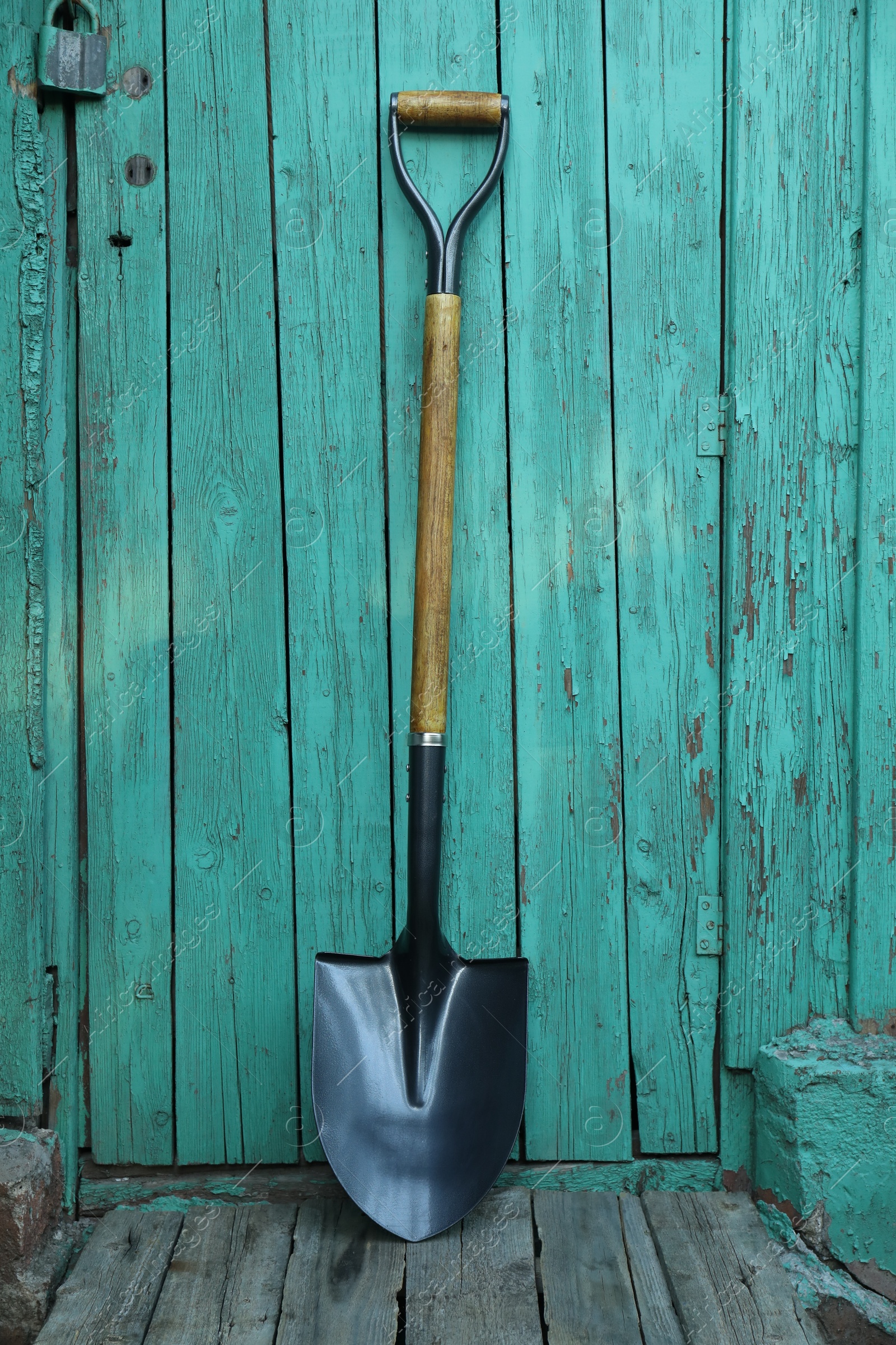 Photo of Metal shovel near turquoise wooden wall. Gardening tool