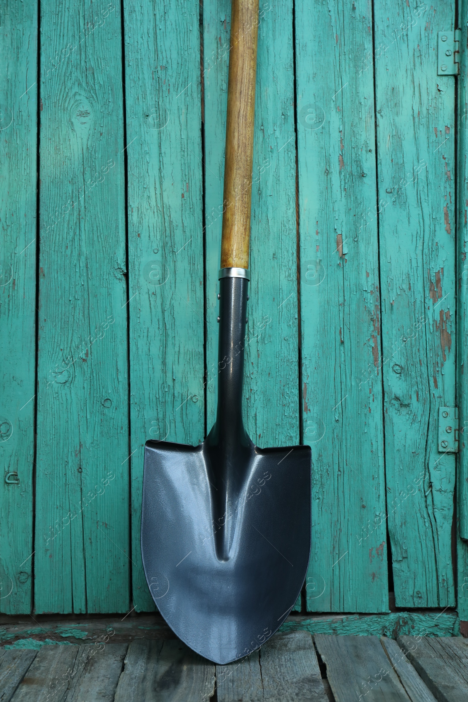 Photo of Metal shovel near turquoise wooden wall. Gardening tool