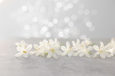 Photo of Beautiful jasmine flowers on grey surface against light background with blurred lights, closeup