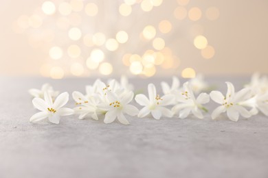 Photo of Beautiful jasmine flowers on grey surface against beige background with blurred lights, closeup