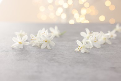 Photo of Beautiful jasmine flowers on grey surface against light background with blurred lights, closeup