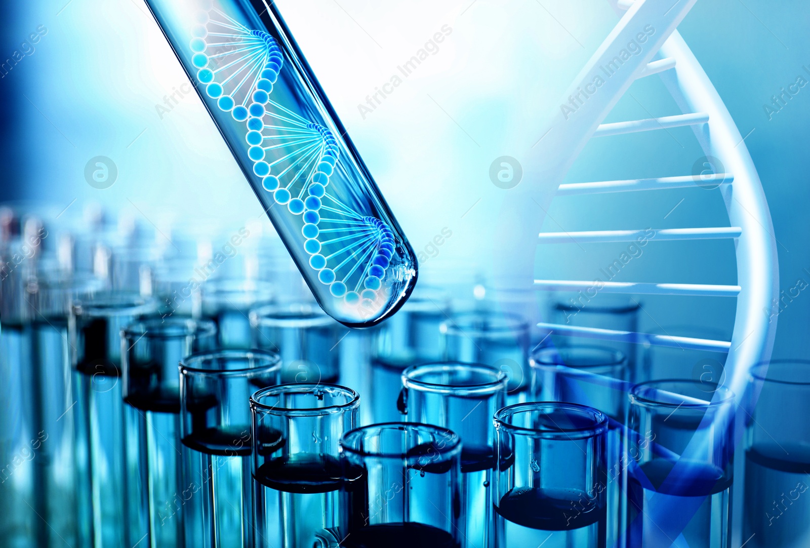 Image of Illustrations of DNA and test tubes with samples, double exposure