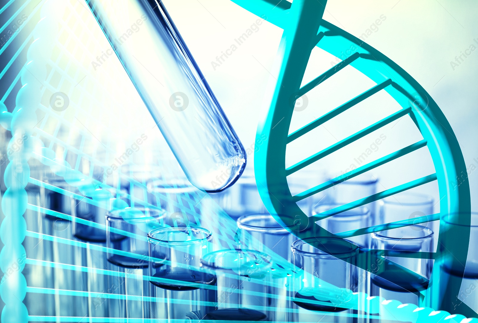 Image of Illustrations of DNA and test tubes with samples, double exposure