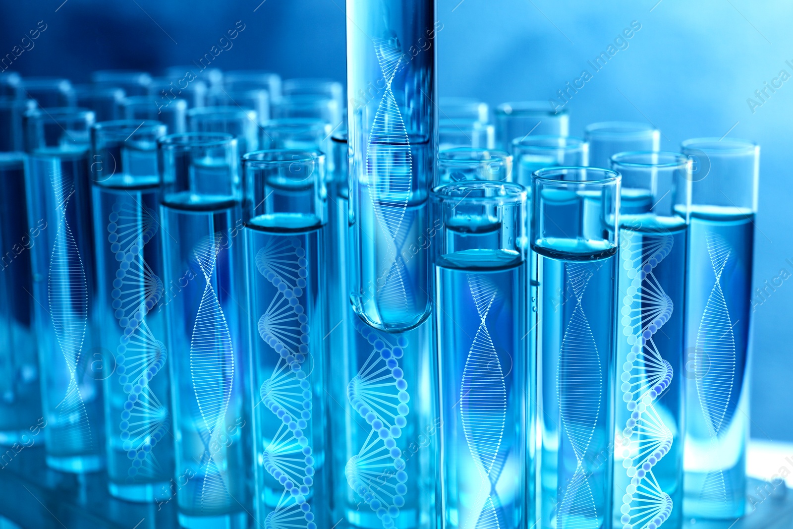 Image of Test tubes with different illustrations of DNA in laboratory, closeup