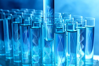 Image of Test tubes with different illustrations of DNA in laboratory, closeup