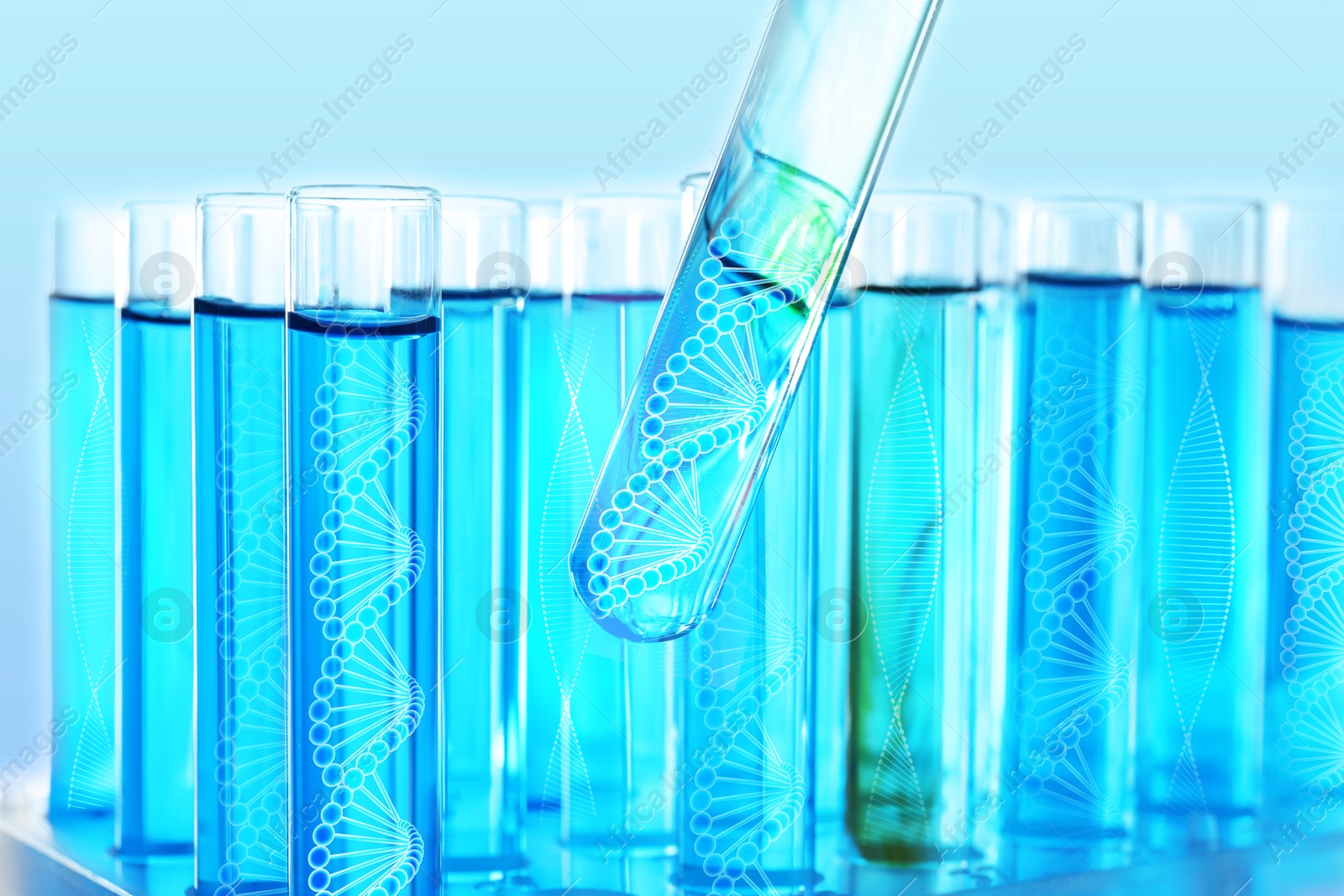 Image of Test tubes with different illustrations of DNA in laboratory, closeup