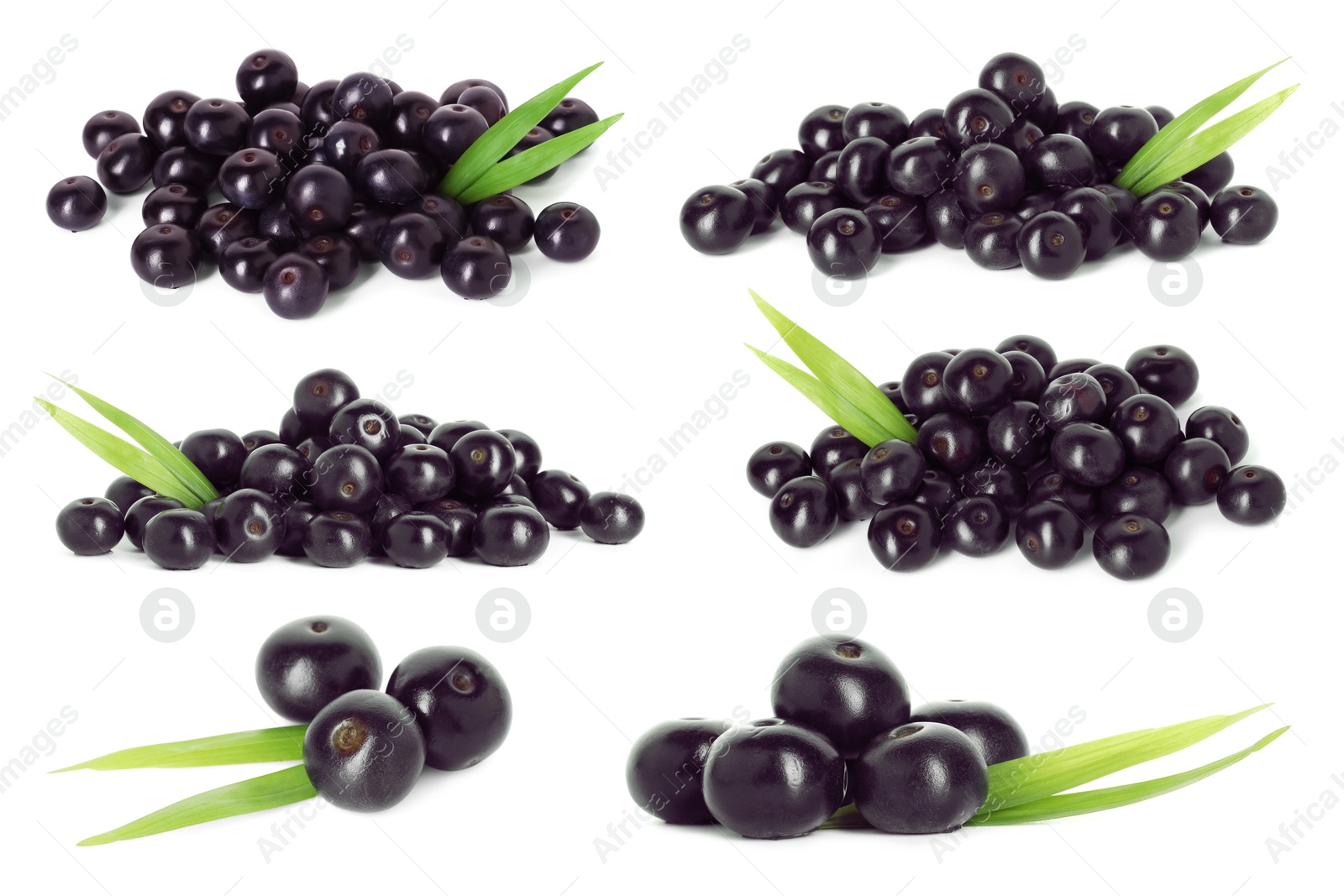 Image of Set of acai berries with green leaves isolated on white